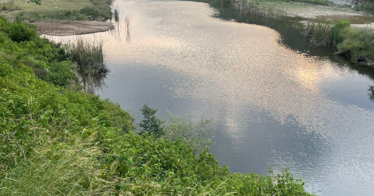 WhatsApp Image 2024-02-20 at 12.17.36 PM